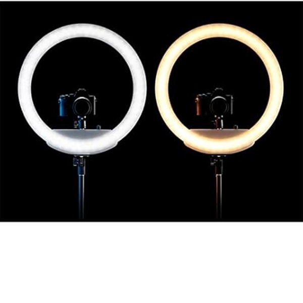 رینگلایت 18 دو رنگ وستکات